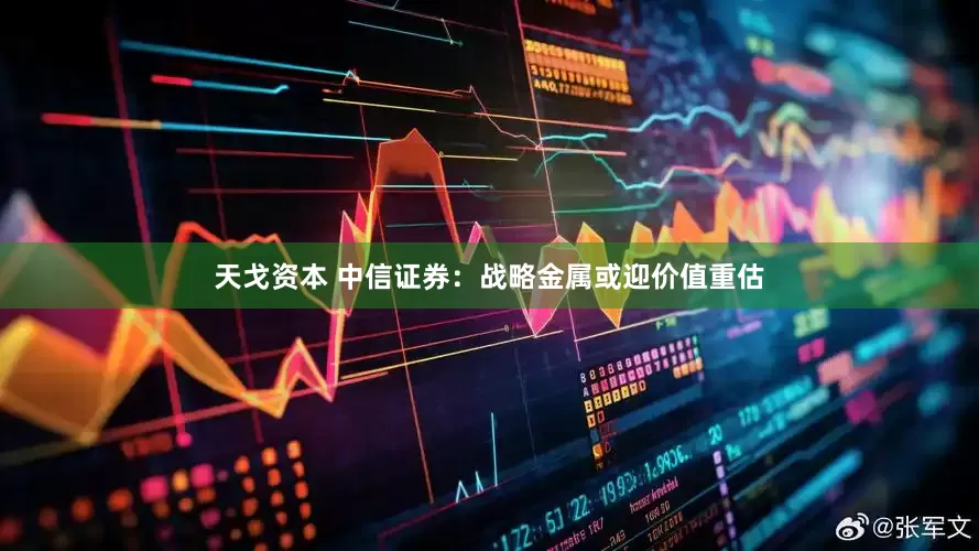 天戈资本 中信证券：战略金属或迎价值重估
