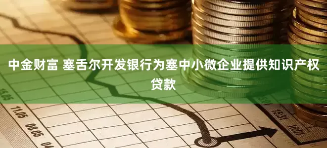 中金财富 塞舌尔开发银行为塞中小微企业提供知识产权贷款